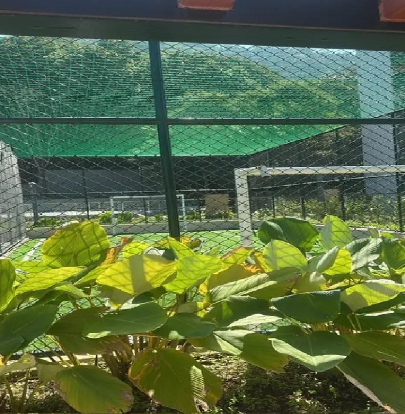 Projeto de acessibilidade e preservação ambiental no Parque Sustentável da Gávea.