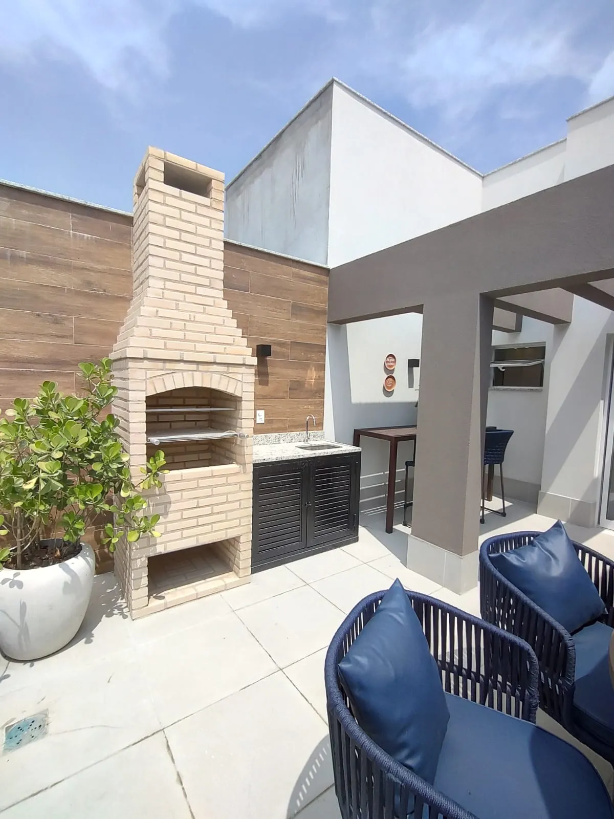 PLANTAS PALMS RECREIO